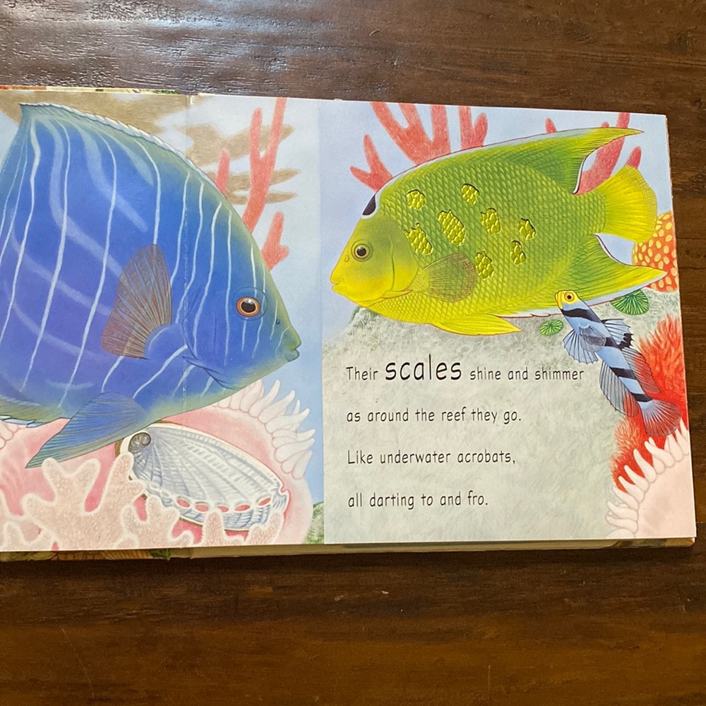 5/$10 Kids Picture Book | In the Ocean A Touch-and-Feel Adventure - Picture 3 of 4